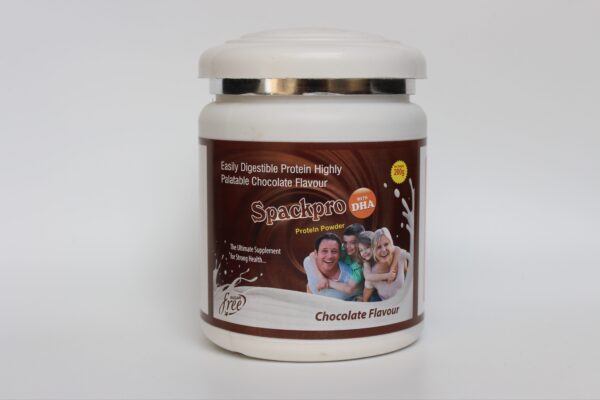 Spack Pro Protien Choco